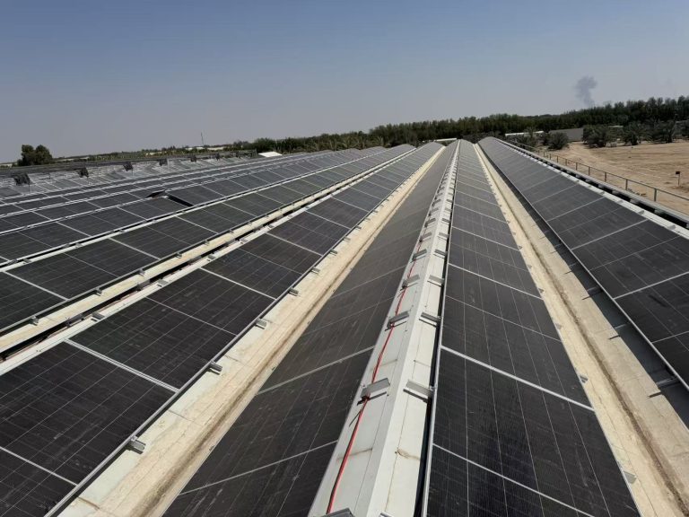 The Complete Guide to Solar Panel Size What You Need to Know