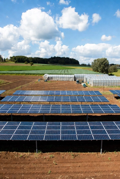 Agrivoltaics Blending Solar Power and Farming